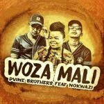 Dvine Brothers Ft. Nokwazi _ Woza Mali