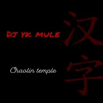Dj Yk Mule – Chaolin Temple