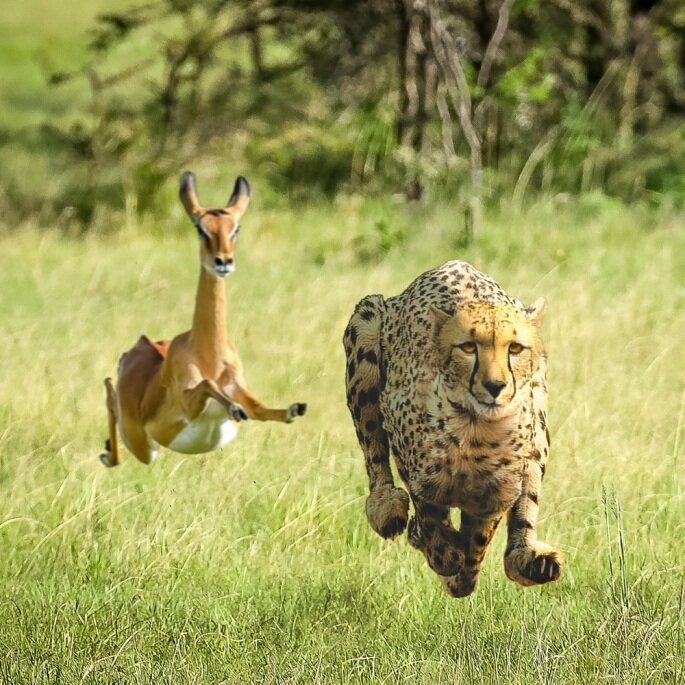 Boj – Line Of Fire ft. Ayra Starr