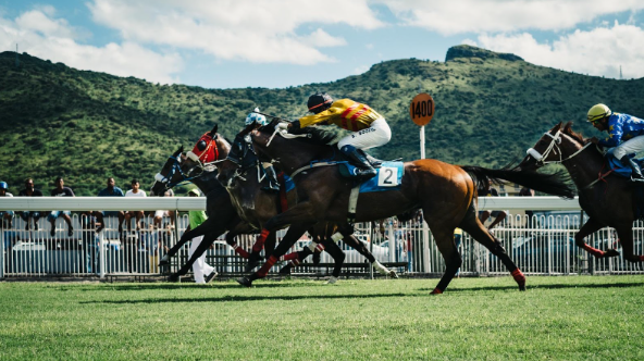 Musselburgh Races: Horse Racing at Musselburgh Race Course Talkmusics Musselburgh Races: Horse Racing at Musselburgh Race Course