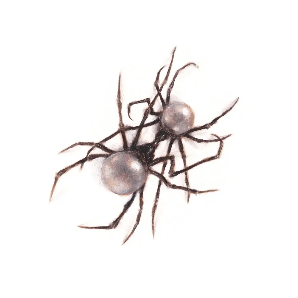 Doja Cat – Agora Hills Talkmusics Doja Cat – 97